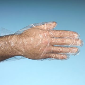 "WORK-INN/-PS" Handschuhe, PE transparent für Herren, L