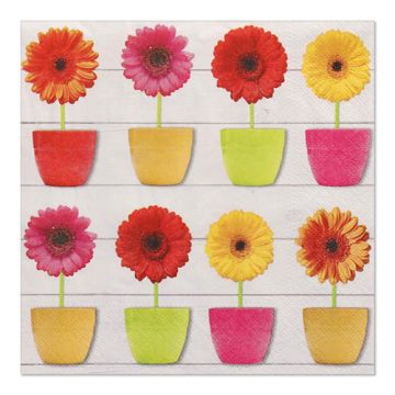 Servietten, 3-lagig 1/4-Falz 33 cm x 33 cm "Glowing Gerberas"