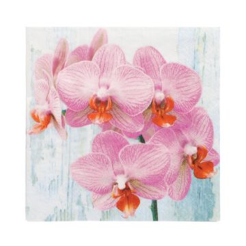 Servietten, 3-lagig 1/4-Falz 33 cm x 33 cm "Phalaenopsis"